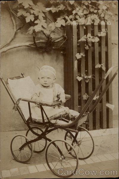 Baby in Baby Carriage Babies