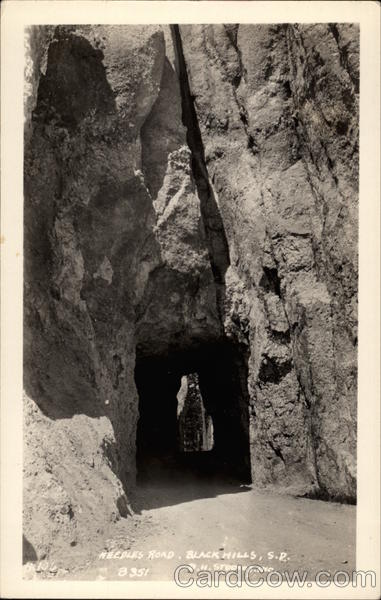 Needles Road Black Hills South Dakota