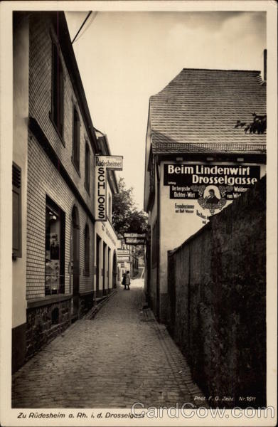 Drosselgasse Lane in Rudesheim's Old Town Rüdesheim am Rhein Germany