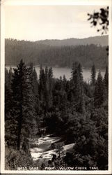 Bass Lake from Willow Creek Trail Postcard