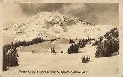 Upper Paradise Valley in Winter Postcard