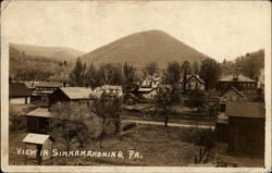 View in Sinnamahoning Pennsylvania Postcard Postcard