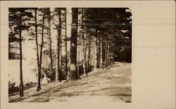 Silver Lake Postcard