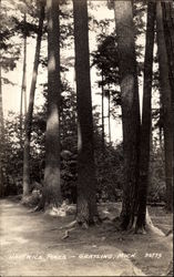 Hartwick Pines Grayling, MI Postcard Postcard