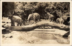 Bernheimer Oriental Gardens Pacific Palisades, CA Postcard Postcard