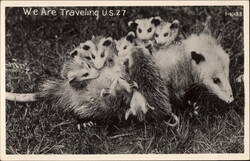 We are Traveling US 27 Postcard