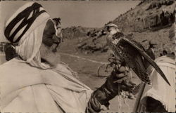 A Falconer Postcard