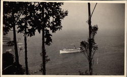 Steamship Coming Into Port Postcard
