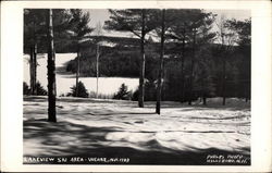 Lakeview Ski Area Weare, NH Postcard Postcard