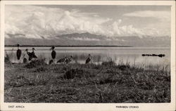 Marabou Storks East Africa Postcard Postcard