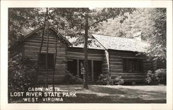 Cabin No. T9, Lost River State Park Mathias, WV Postcard Postcard