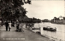 The Riverside and River Dee Chester, England Cheshire Postcard Postcard