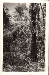 Clearing the Jungle on Bataan Philippines Southeast Asia Postcard Postcard