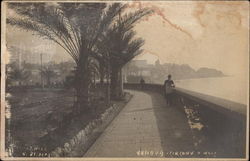 Circonv. a Mare Postcard