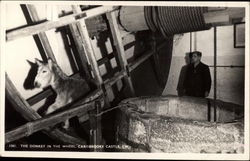 The Donkey in the Wheel, Carisbrooke Castle Isle of Wight, England Postcard Postcard