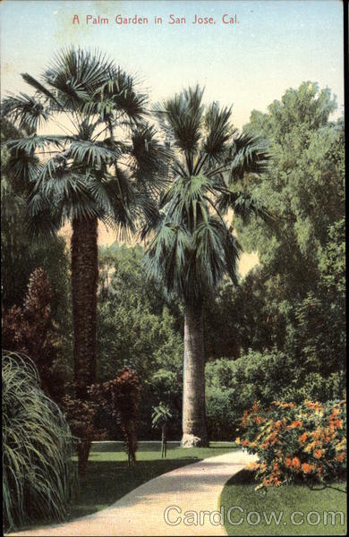 A Palm Garden San Jose California