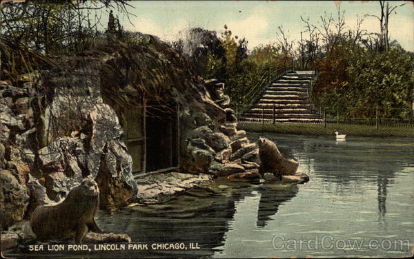 Sea Lion Pond, Lincoln Park Chicago Illinois