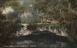 The Natural Bridge Postcard