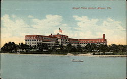 Royal Palm Hotel Postcard