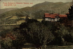 Prune Orchard and Mountain Scenery Postcard