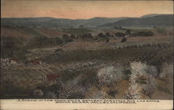 A Scene in the Foot-Hills between Saratoga and Los Gatos A Scene in the Foot-Hills between Saratoga and Los Gatos