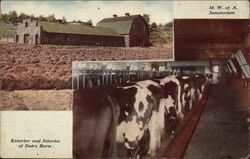 MW of A Sanitorium and Dairy Barn Postcard