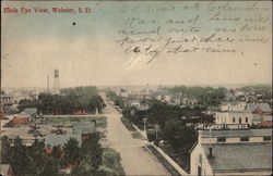 Bird's Eye View of Town Webster, SD Postcard Postcard