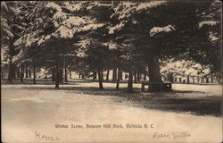 Winter Scene, Beacon Hill Park Victoria, BC Canada British Columbia Postcard Postcard