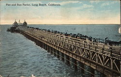 Pier and Sun Parlor Postcard