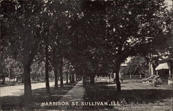 Harrison Street Sullivan, IL Postcard Postcard