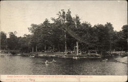 Band Concert at Soldier's Home Park on Sunday Afternoon Danville, IL Postcard Postcard