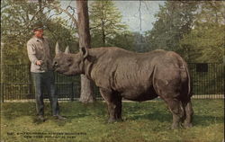 Stock #284711 Thumbnail