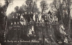 A Party on a Redwood Stump Postcard