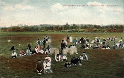 Cranberry Picking, a Typical Cape Cod Scene Postcard