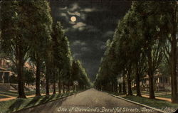 One of Cleveland's Beautiful Streets Ohio Postcard Postcard