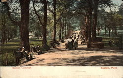 Boston Common Massachusetts Postcard Postcard