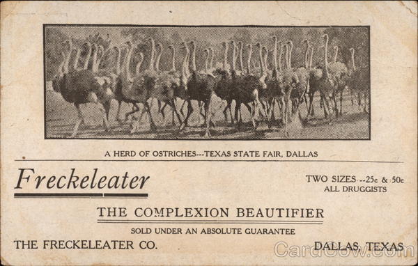 Freckeleater, the complexion beautifier Dallas Texas