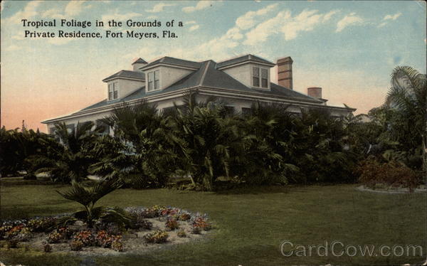 Tropical Foliage in the Grounds of a Private Residence Fort Myers Florida