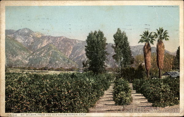 Mt. Wilson, From the Old Shorb Ranch Pasadena California