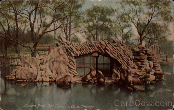 Sea Lions and Cave, Lincoln Park Chicago Illinois