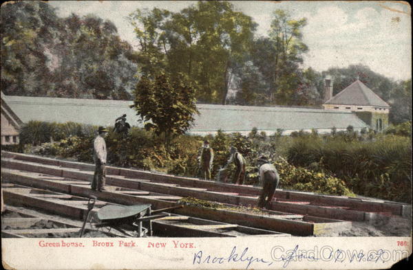 Greenhouse. Bronx Park New York