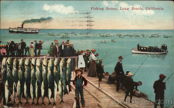 Fishing Scene Long Beach California