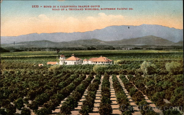 Home in a California Orange Grove
