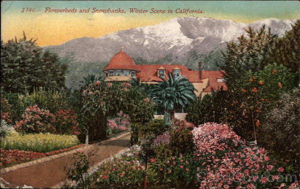 Winter Scene - Flowerbeds and Snowbanks California