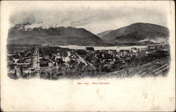 View of Revelstoke Postcard