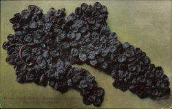 Fresno County Raisins Postcard