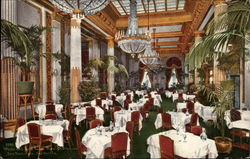Hotel St. Francis, White and Gold Room Postcard