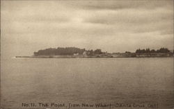 The Point, from New Wharf Postcard