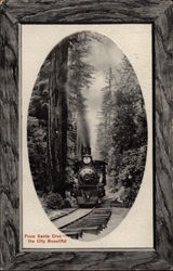 From Santa Cruz, the City Beautiful Postcard