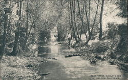 Bean Creek, Zayante Inn Mount Hermon, CA Postcard Postcard